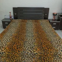 بعلت کوچکی اتاق