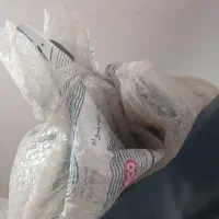سپر