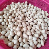 کشک گاوی