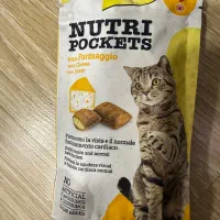 غذای گربه رفلکس وارداتی|گربه|تهران, مختاری|دیوار