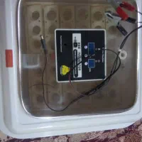 فروش دستگاه جوجه کشی|لوازم جانبی حیوانات|بندر ماهشهر, |دیوار