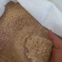 سبوس گندم درجه ۱