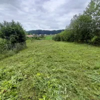 علفتراشی هرس سمپاشی علف زنی علف تراش|خدمات باغبانی و درختکاری|تنکابن, |دیوار