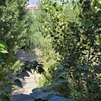 500زمین-سندار-عرب-آباد-دهکده-ورزشی-قوهه-کاسبی