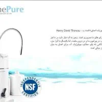 ترجیحا استخدام مجرد