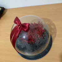 عروسک خرس استیجی پتو دار و باکس شیشه ای گل ژیپسو|اسباب‌‌بازی|صدرا-فارس, فاز ۲|دیوار