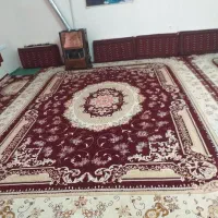 فرش ۱۲متری|فرش|سنندج, |دیوار