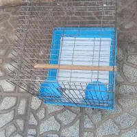 قفس پرنده