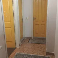 نقاشی وکاردرارتفاع وکاغذدیواری|خدمات پیشه و مهارت|گرگان, |دیوار