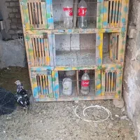جفت کن