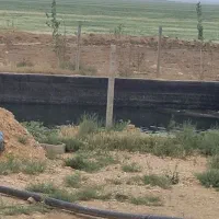 اجاره مزرعه آبی کشاورزی زمین کشاورزی موتور آب|اجارهٔ دفتر صنعتی، کشاورزی، تجاری|شراء, |دیوار