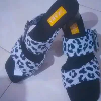 مجلسی پلنگی