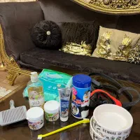 فروش سگ پامر|سگ|دوگنبدان, |دیوار