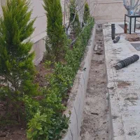 باغبانی|خدمات باغبانی و درختکاری|همدان, |دیوار
