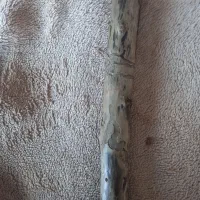 چوب طراحی شده به دستِ طبیعت