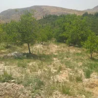 فروش باغ گردو 10کیلومتری سپیدان|فروش زمین و ملک کلنگی|کنار تخته و کمار, |دیوار