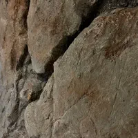 استخدام نیرو