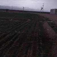 فروش زمین کشاورزی حاشیه جاده سنتو