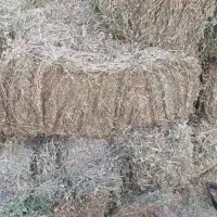 یونجه پرس