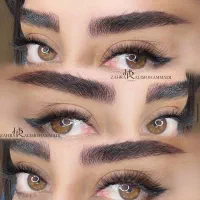 اموزش و خدمات میکروبلیدینگ شیدلب و خطچشم|خدمات آموزشی|اصفهان, خانه اصفهان|دیوار