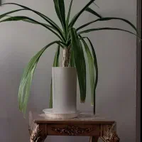 گلیم فرش و گلدان عنکبوتی|گلیم، جاجیم، گبه|کوهدشت, |دیوار