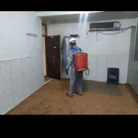 سم پاشی حرفه ای منازل ادرات و باغ و ...
