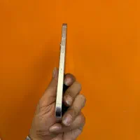 16 promax سفید اقساطی و معاوضه|موبایل|اصفهان, باغ زرشک|دیوار