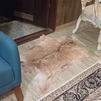 پوست دباغی شده