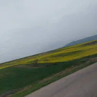 اجاره۸هکتارزمین آقدگش