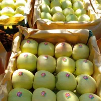 سیب سوپر لوکس