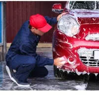 نیروی کار جهت کار در کارواش