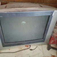 تلویزیون