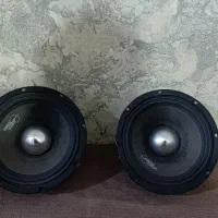 میدرنج سانتاکروز اورجینال