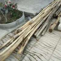 مقداری تیرچوبی یا دارسقفی