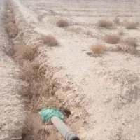 پلاک-زمین-باغی500-متری-با-مجوز-دیوار-کشی