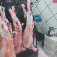 گوشت و مرغ|خوردنی و آشامیدنی|تهران, شهرک فرهنگیان|دیوار