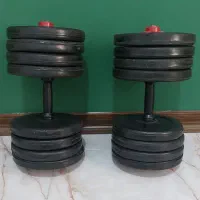 دمبل و هالتر