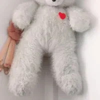 خرس سفید بزرگ قیمت توافقی