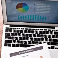 حسابدار حرفه ای