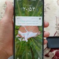 ردمیa5|موبایل|تربت جام, شاهد|دیوار