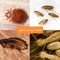 شرکت سم پاشی صنعت زیست محور سمپاشی ساس سوسک|خدمات نظافت|تهران, بهارستان|دیوار