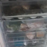 یخچال فریزر