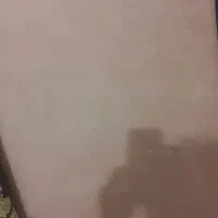 موکت
