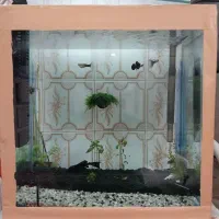 آکواریم پلنت همراه با ماهی و وسایل
