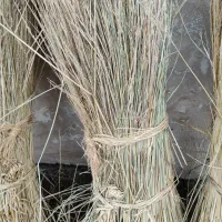 کلوش یا کولوش|عمده‌فروشی|سنگر, |دیوار