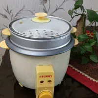 پلوپز و بخار پز