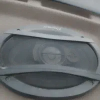 پیونرر