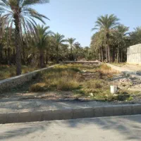 (فروش فوری زمین)دودانگه کوچک برچ حسنقلی خان|فروش زمین و ملک کلنگی|بهبهان, |دیوار