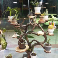 همکار جهت فست فودی