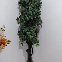 درخت تزئینی